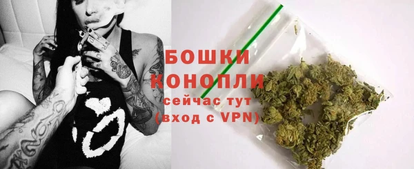 сатива Покровск